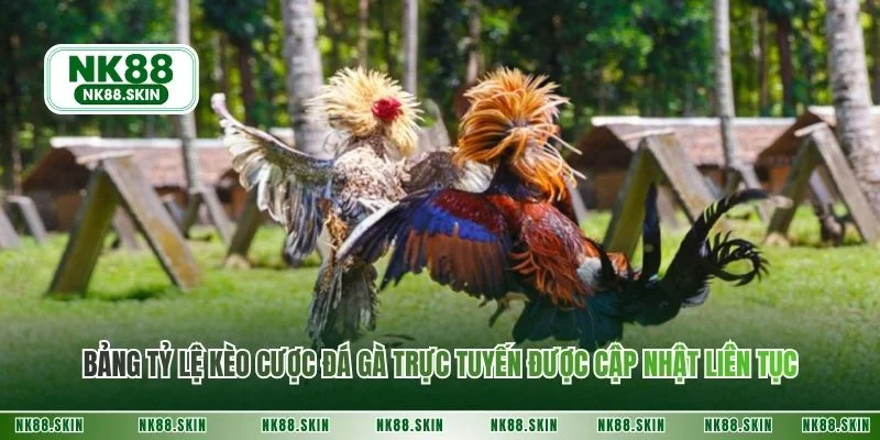 Bảng tỷ lệ kèo cược đá gà trực tuyến được cập nhật liên tục